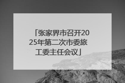 张家界市召开2025年第二次市委旅工委主任会议