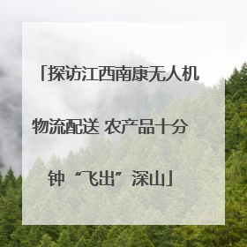 探访江西南康无人机物流配送 农产品十分钟“飞出”深山