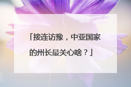 接连访豫，中亚国家的州长最关心啥？