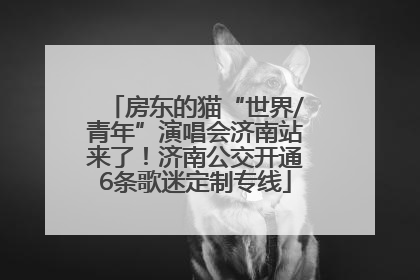 房东的猫“世界/青年”演唱会济南站来了！济南公交开通6条歌迷定制专线