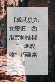 成武县九女集镇：西瓜套种辣椒 “一地双收”巧致富