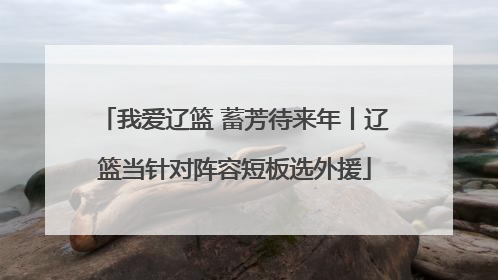 我爱辽篮 蓄芳待来年丨辽篮当针对阵容短板选外援