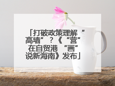 打破政策理解“高墙”？《“营”在自贸港 “画”说新海南》发布