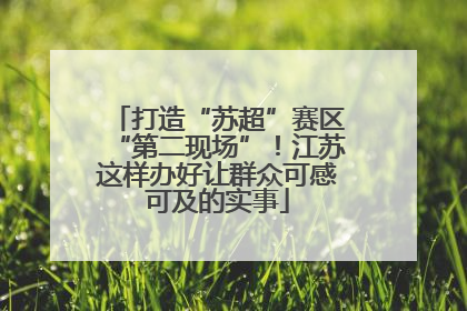 打造“苏超”赛区“第二现场”！江苏这样办好让群众可感可及的实事