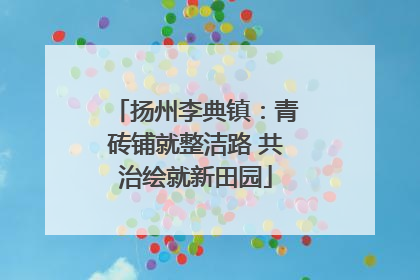 扬州李典镇：青砖铺就整洁路 共治绘就新田园