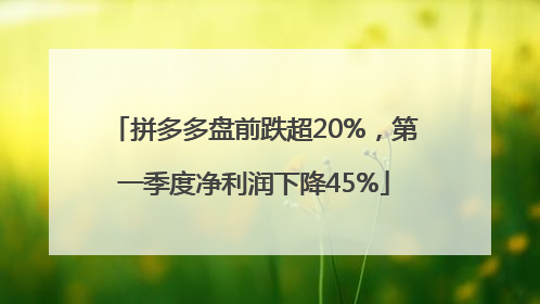 拼多多盘前跌超20%，第一季度净利润下降45%