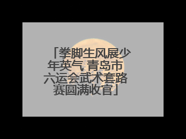 拳脚生风展少年英气 青岛市六运会武术套路赛圆满收官