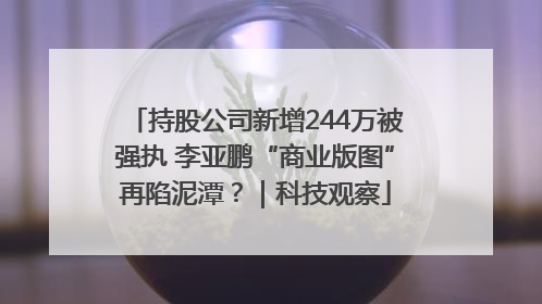 持股公司新增244万被强执 李亚鹏“商业版图”再陷泥潭？｜科技观察