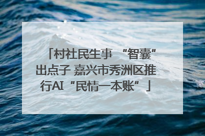 村社民生事 “智囊”出点子 嘉兴市秀洲区推行AI“民情一本账”