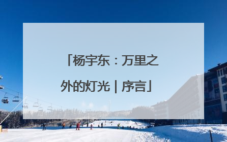 杨宇东：万里之外的灯光｜序言