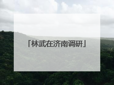 林武在济南调研