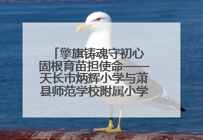 擎旗铸魂守初心 固根育苗担使命——天长市炳辉小学与萧县师范学校附属小学结对共建活动纪实