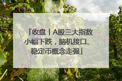 收盘丨A股三大指数小幅下跌，脑机接口、稳定币概念走强