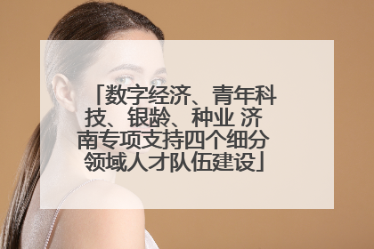 数字经济、青年科技、银龄、种业 济南专项支持四个细分领域人才队伍建设