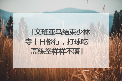 文班亚马结束少林寺十日修行，打球吃斋练拳样样不落