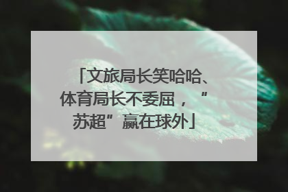 文旅局长笑哈哈、体育局长不委屈，“苏超”赢在球外
