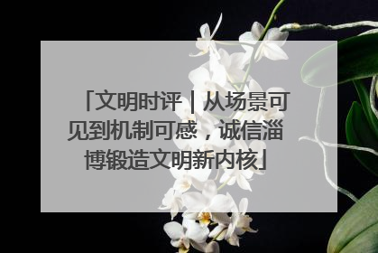 文明时评｜从场景可见到机制可感，诚信淄博锻造文明新内核