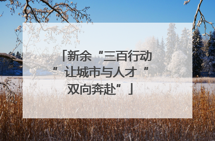 新余“三百行动”让城市与人才“双向奔赴”