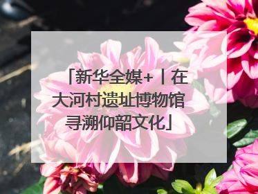 新华全媒+丨在大河村遗址博物馆寻溯仰韶文化