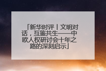 新华时评丨文明对话，互鉴共生——中欧人权研讨会十年之路的深刻启示
