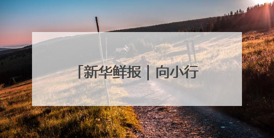 新华鲜报｜向小行星进发！天问二号开启“追星”之旅