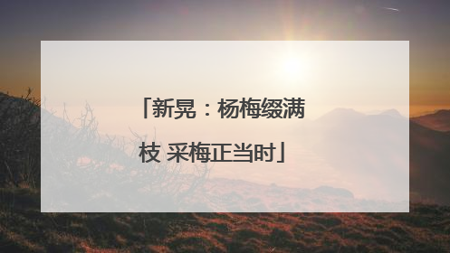 新晃：杨梅缀满枝 采梅正当时