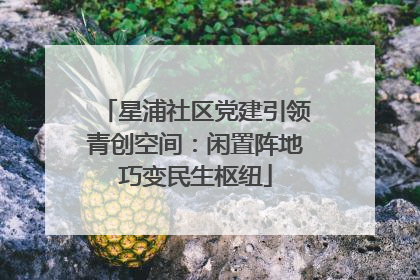 星浦社区党建引领青创空间：闲置阵地巧变民生枢纽