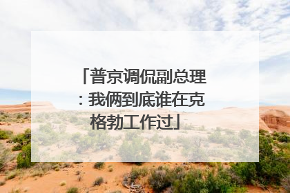 普京调侃副总理：我俩到底谁在克格勃工作过