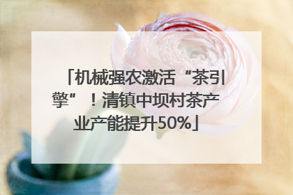 机械强农激活“茶引擎”！清镇中坝村茶产业产能提升50%
