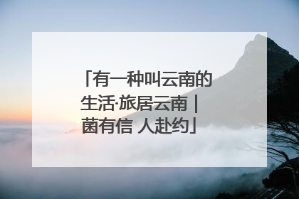 有一种叫云南的生活·旅居云南｜菌有信 人赴约