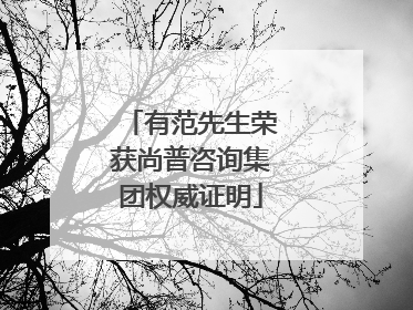 有范先生荣获尚普咨询集团权威证明