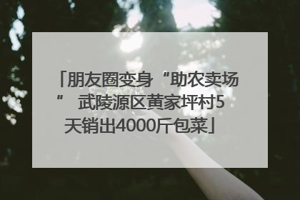 朋友圈变身“助农卖场” 武陵源区黄家坪村5天销出4000斤包菜