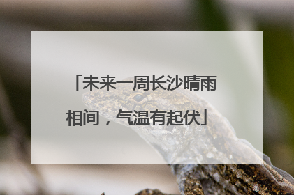 未来一周长沙晴雨相间，气温有起伏