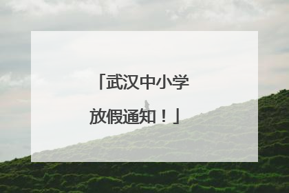 武汉中小学放假通知！