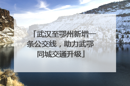 武汉至鄂州新增一条公交线，助力武鄂同城交通升级
