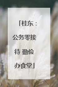 桂东：公务零接待 勤俭办食堂