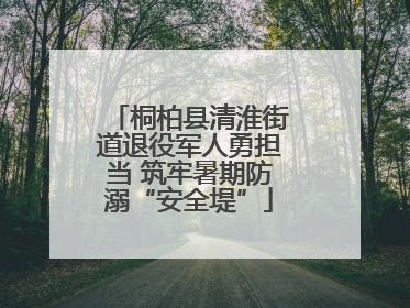 桐柏县清淮街道退役军人勇担当 筑牢暑期防溺“安全堤”