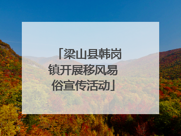 梁山县韩岗镇开展移风易俗宣传活动