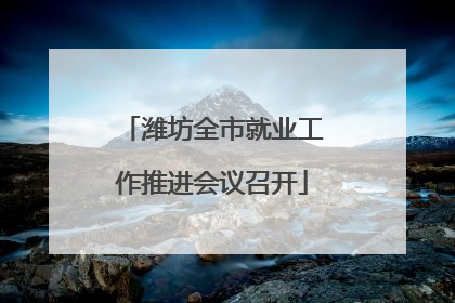 潍坊全市就业工作推进会议召开