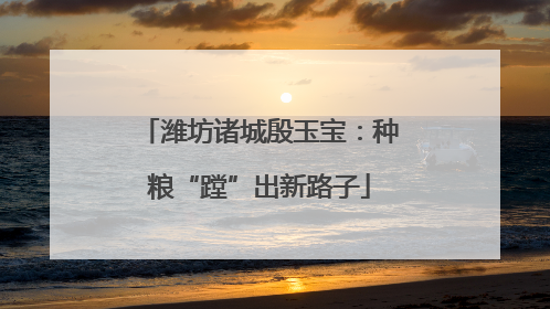潍坊诸城殷玉宝：种粮“蹚”出新路子