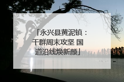 永兴县黄泥镇：干群周末攻坚 国道沿线焕新颜