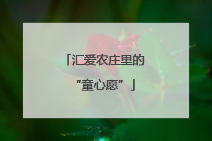 汇爱农庄里的“童心愿”