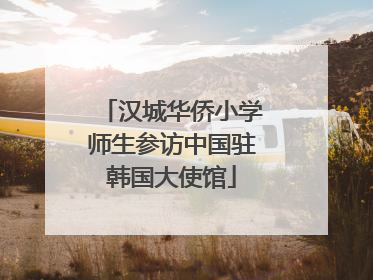 汉城华侨小学师生参访中国驻韩国大使馆