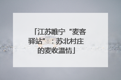 江苏睢宁“麦客驿站”：苏北村庄的麦收温情