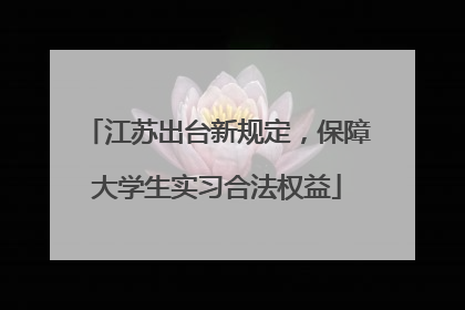 江苏出台新规定，保障大学生实习合法权益