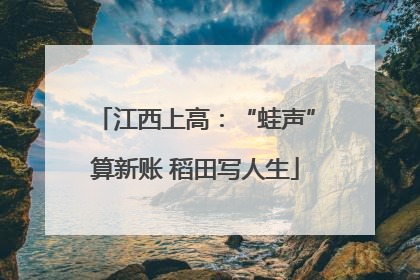 江西上高：“蛙声”算新账 稻田写人生