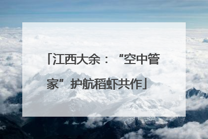 江西大余：“空中管家”护航稻虾共作