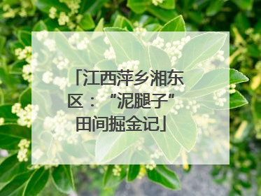 江西萍乡湘东区：“泥腿子”田间掘金记