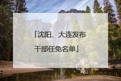 沈阳、大连发布干部任免名单