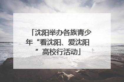 沈阳举办各族青少年“看沈阳、爱沈阳”高校行活动